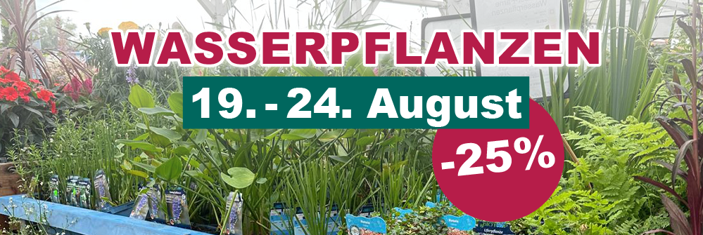 Wasserpflanzen -25%