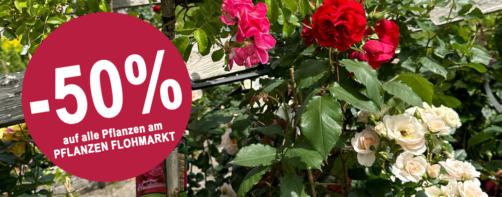 Flohmarkt -50%