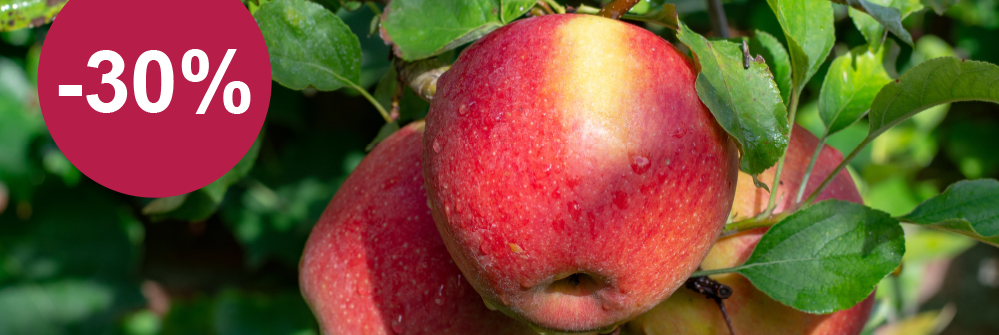 Prozente auf Obstbäume