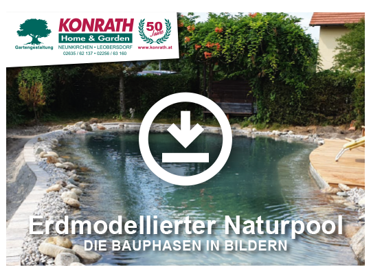 Erdmodelliertes Naturpool