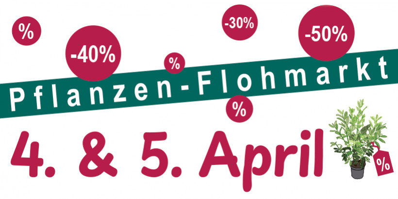 Pflanzen Flohmarkt in Leobersdorf