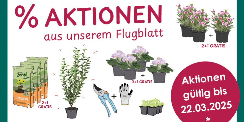 FLUGBLATT Aktionen März Leobersdorf 