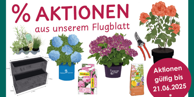 Flugblatt Aktionen Juni Leobersdorf
