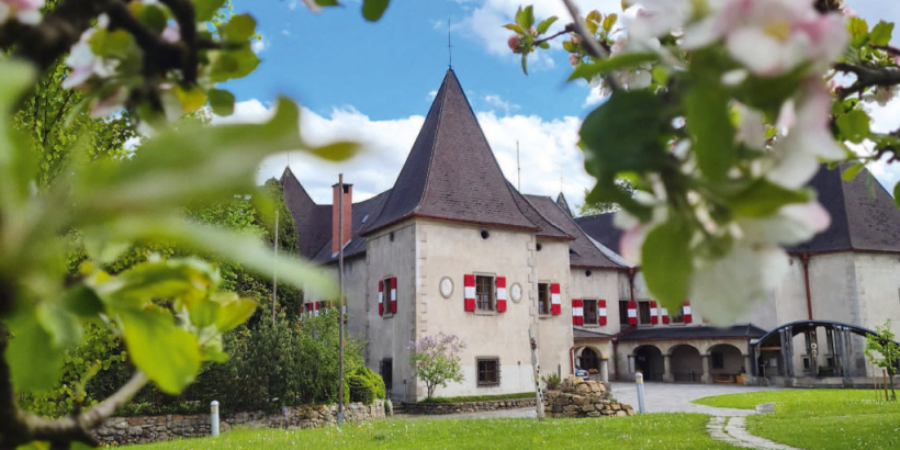 Kunst und Garten Zauber 