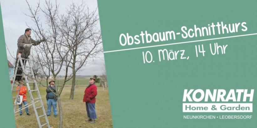 Obstbaum - Schnittkurs