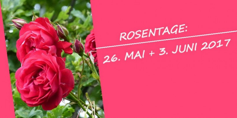  Rosentage