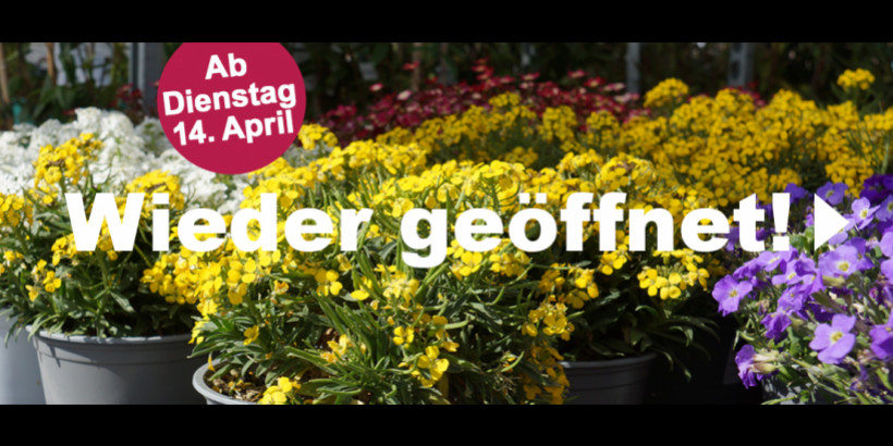 Wir eröffnen wieder!