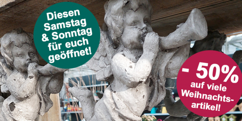 Bis zu - 50% auf Weihnachtsartikel! 