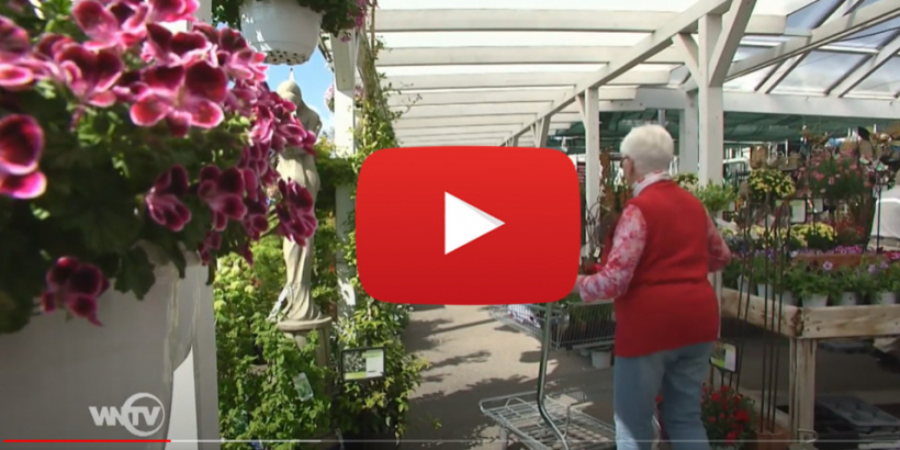 WNTV zu Besuch im Garten-Paradies Leobersdorf!