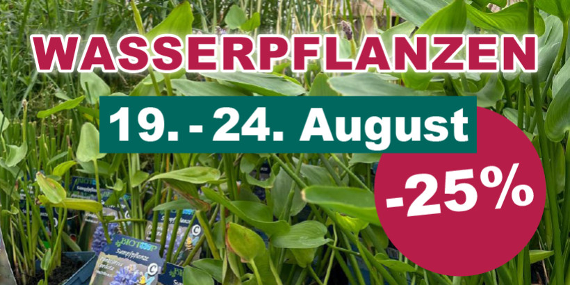 Wasserpflanzen -25% 