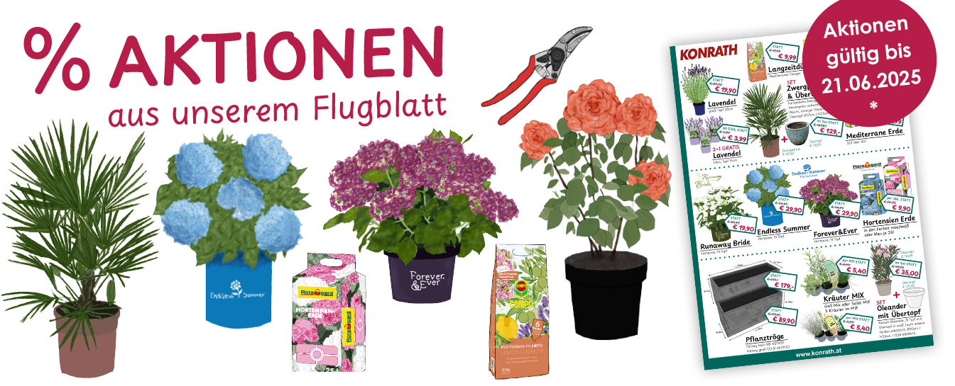 Flugblatt Aktionen Juni Leobersdorf
