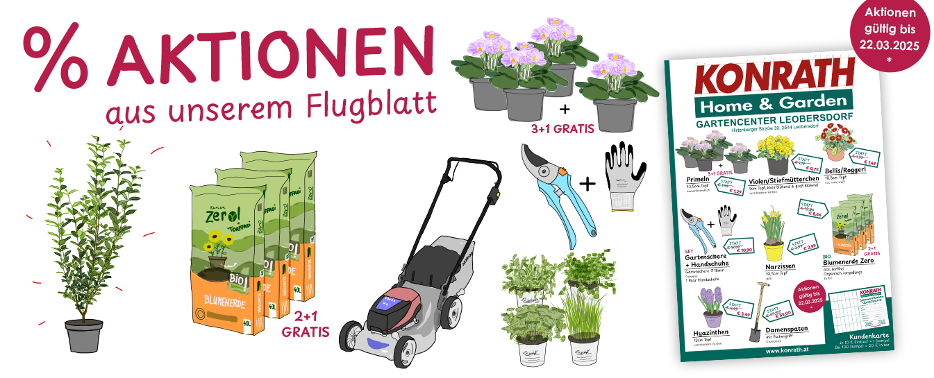 Flugblatt Aktionen März Leobersdorf 